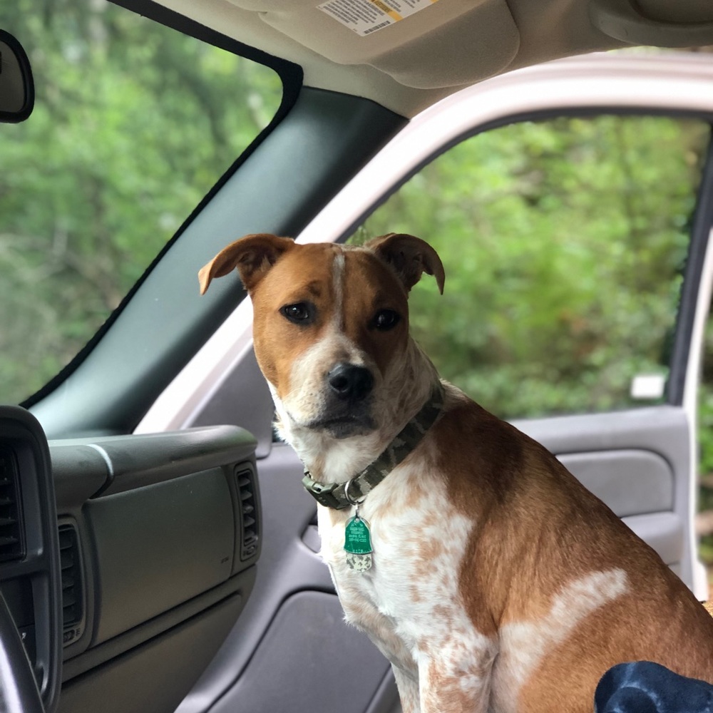 Meet your Posher, Zoey